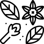 HERBS (جڑی بوٹیاں)